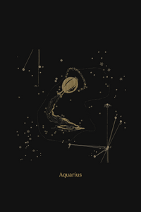 Zuben Zodiac Black Handwoven Embroidered Saree