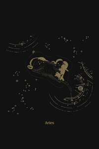 Zuben Zodiac Black Handwoven Embroidered Saree