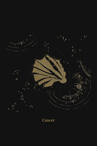 Zuben Zodiac Black Handwoven Embroidered Saree