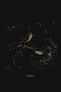 Zuben Zodiac Black Handwoven Embroidered Saree