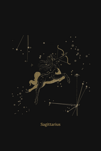 Zuben Zodiac Black Handwoven Embroidered Saree