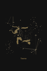 Zuben Zodiac Black Handwoven Embroidered Saree
