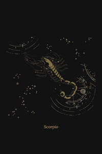 Zuben Zodiac Black Handwoven Embroidered Saree