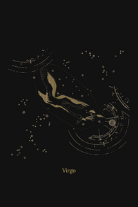 Zuben Zodiac Black Handwoven Embroidered Saree