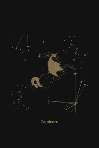 Zuben Zodiac Black Handwoven Embroidered Saree